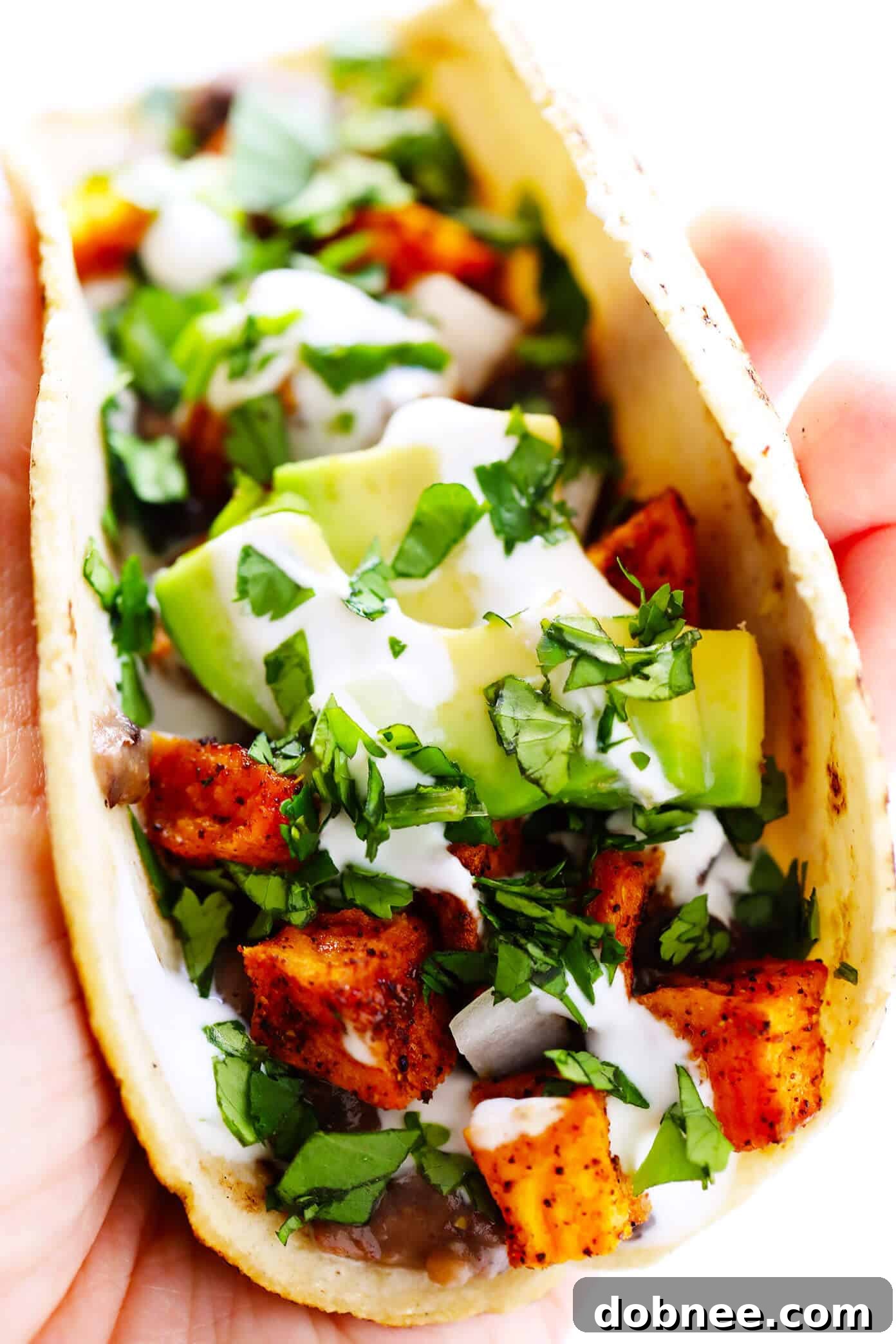 Sweet Potato Tacos with Refried Beans, Avocado, and Lime Crema close-up