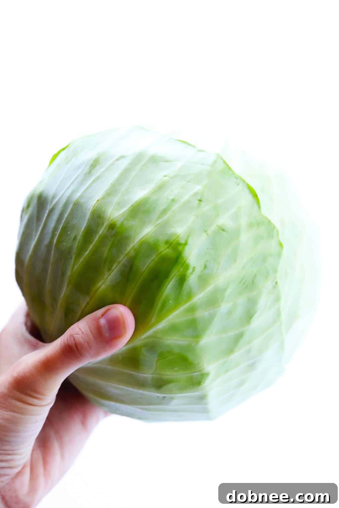 A close-up of a steaming bowl of Egg Roll Soup, showcasing tender cabbage, seasoned pork, and vibrant carrots, drizzled with sesame oil and topped with fresh herbs.