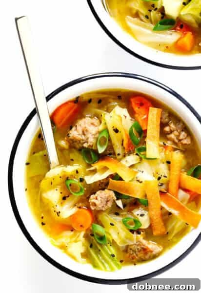 Delicious Egg Roll Soup with crispy wonton strips