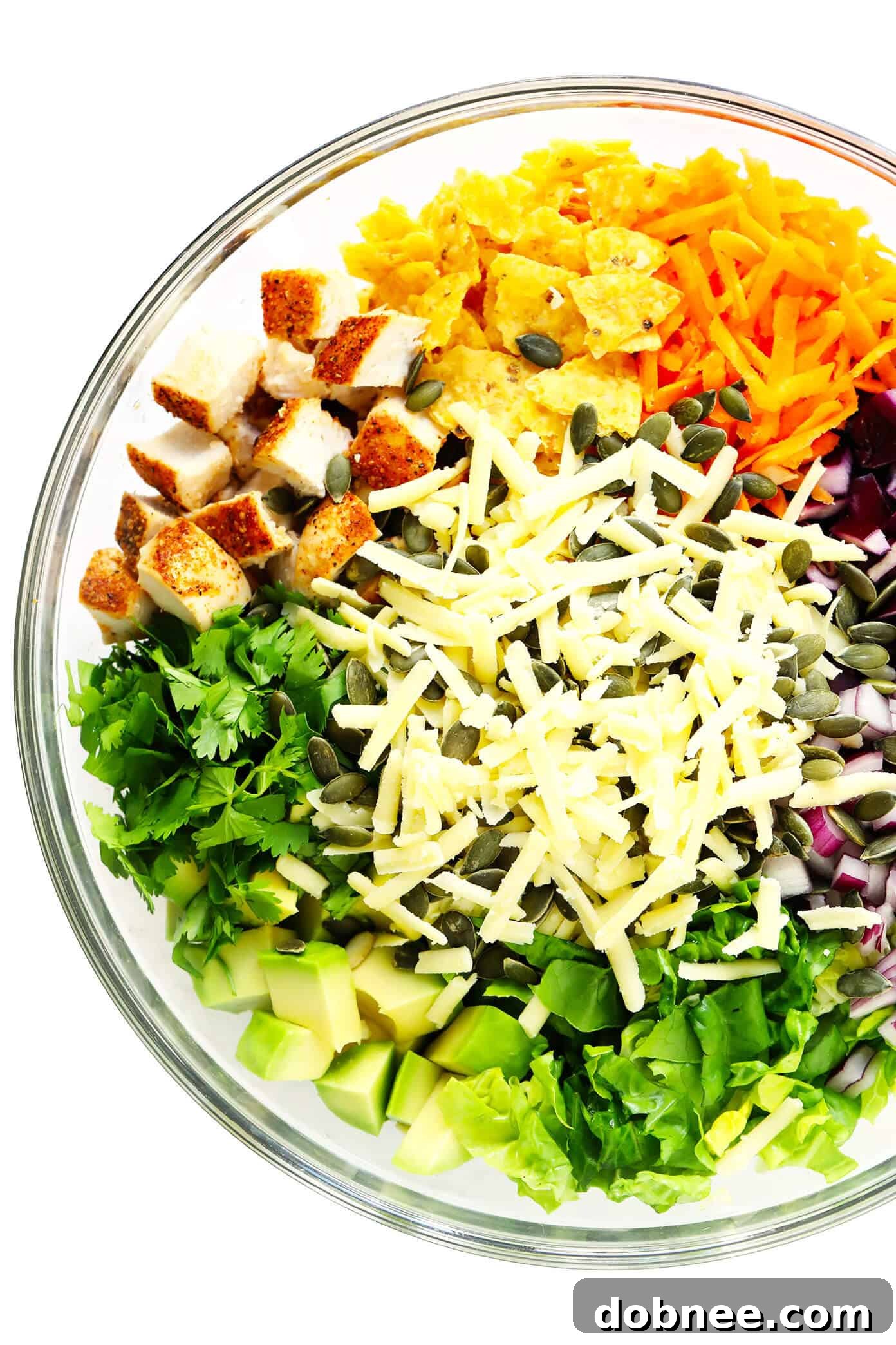 Fresh Ingredients for a Homemade Chipotle Chopped Salad A Vibrant Bowl of Chipotle Chopped Salad Ingredients: Chicken, Tortilla Chips, Carrots, Cabbage, Red Onion, Romaine Lettuce, Cilantro, Cheddar Cheese, and Pepitas