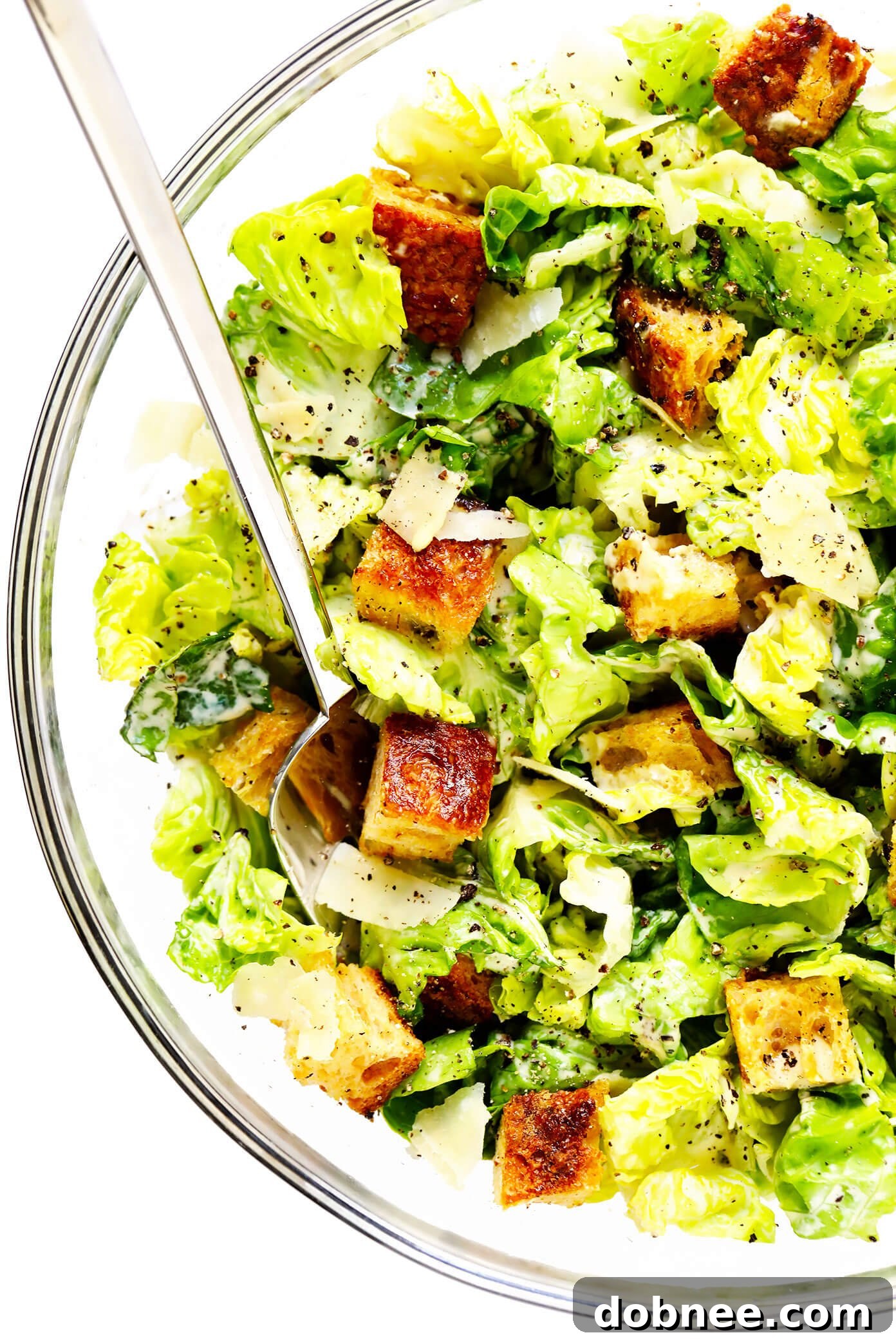 A large bowl of Caesar Salad with golden homemade croutons and rich Parmesan cheese, ready to be served.