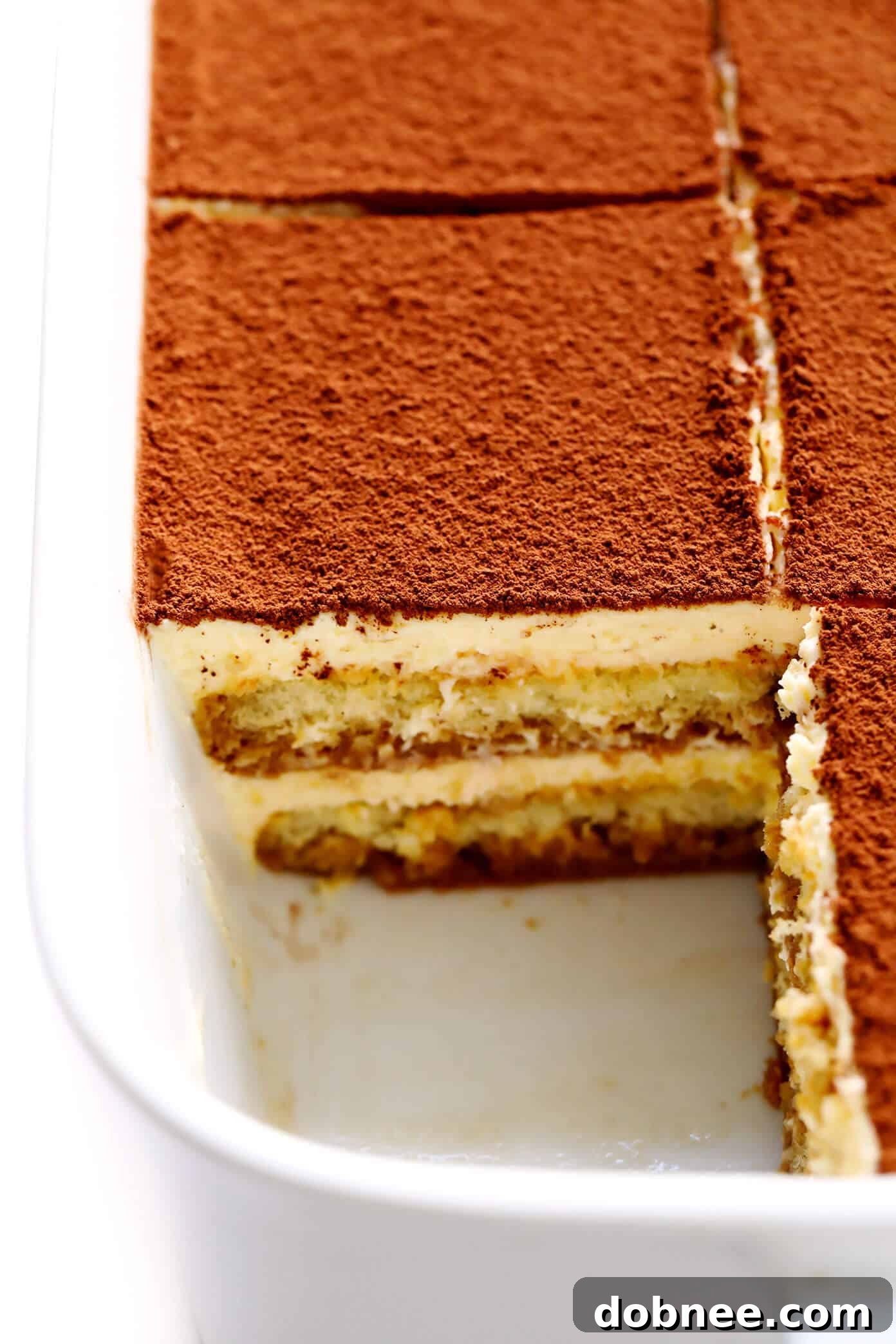 Tiramisu in the pan, ready to serve