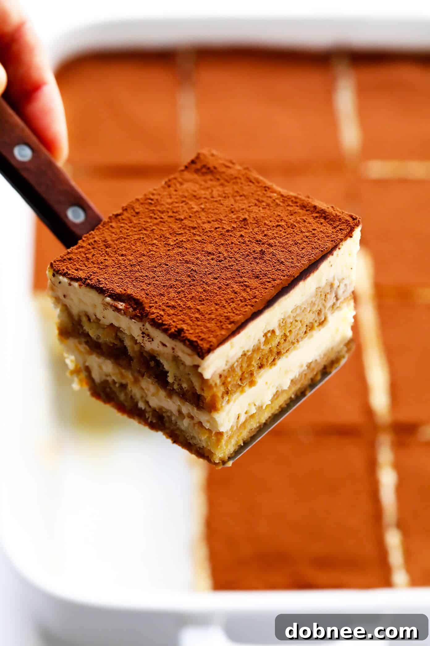 Slice of tiramisu on a plate
