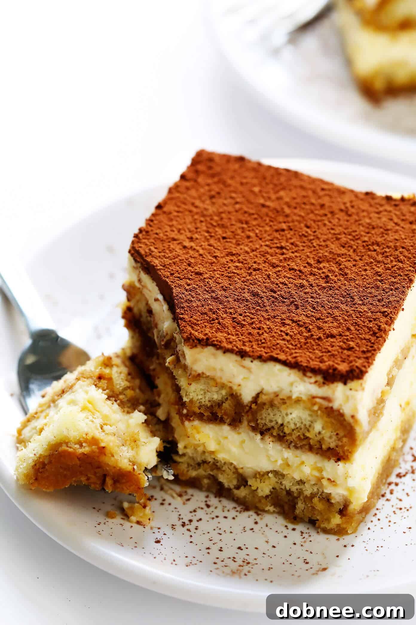 Italian tiramisu on serving plate