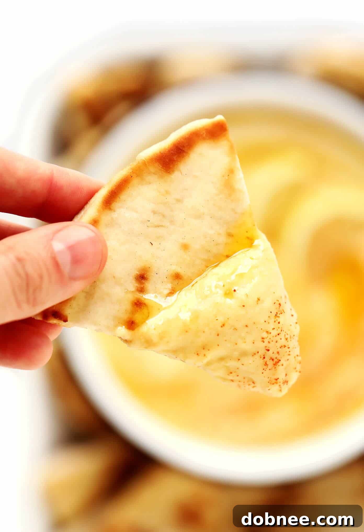 Greek Fava Dip with Pita Closeup