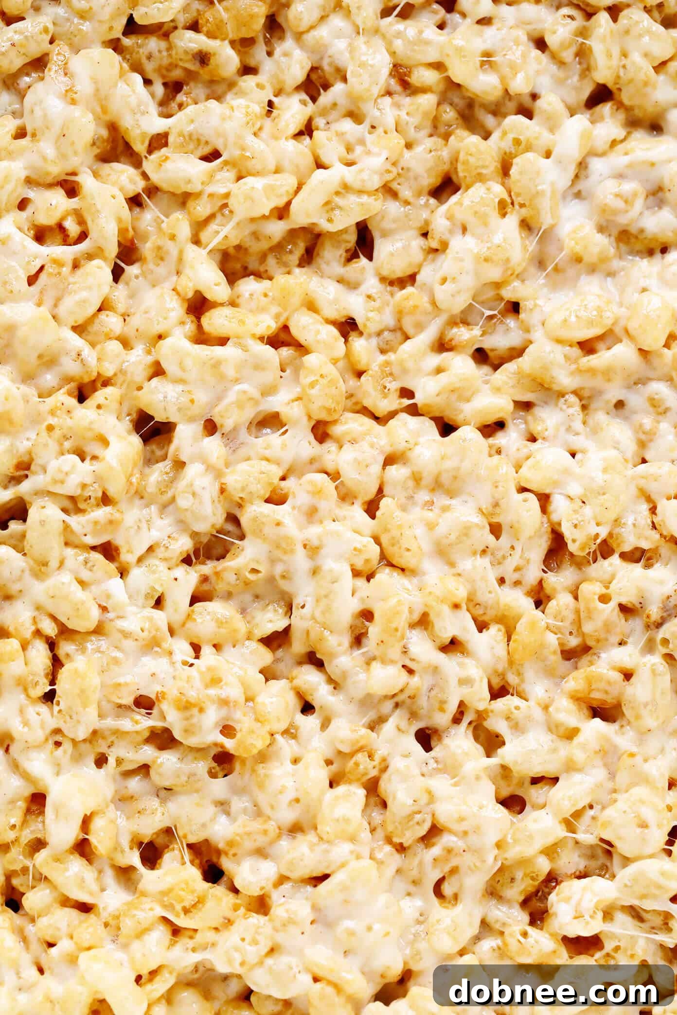Rice Crispy Treats Closeup showing the chewy texture and a sprinkle of flaky sea salt.