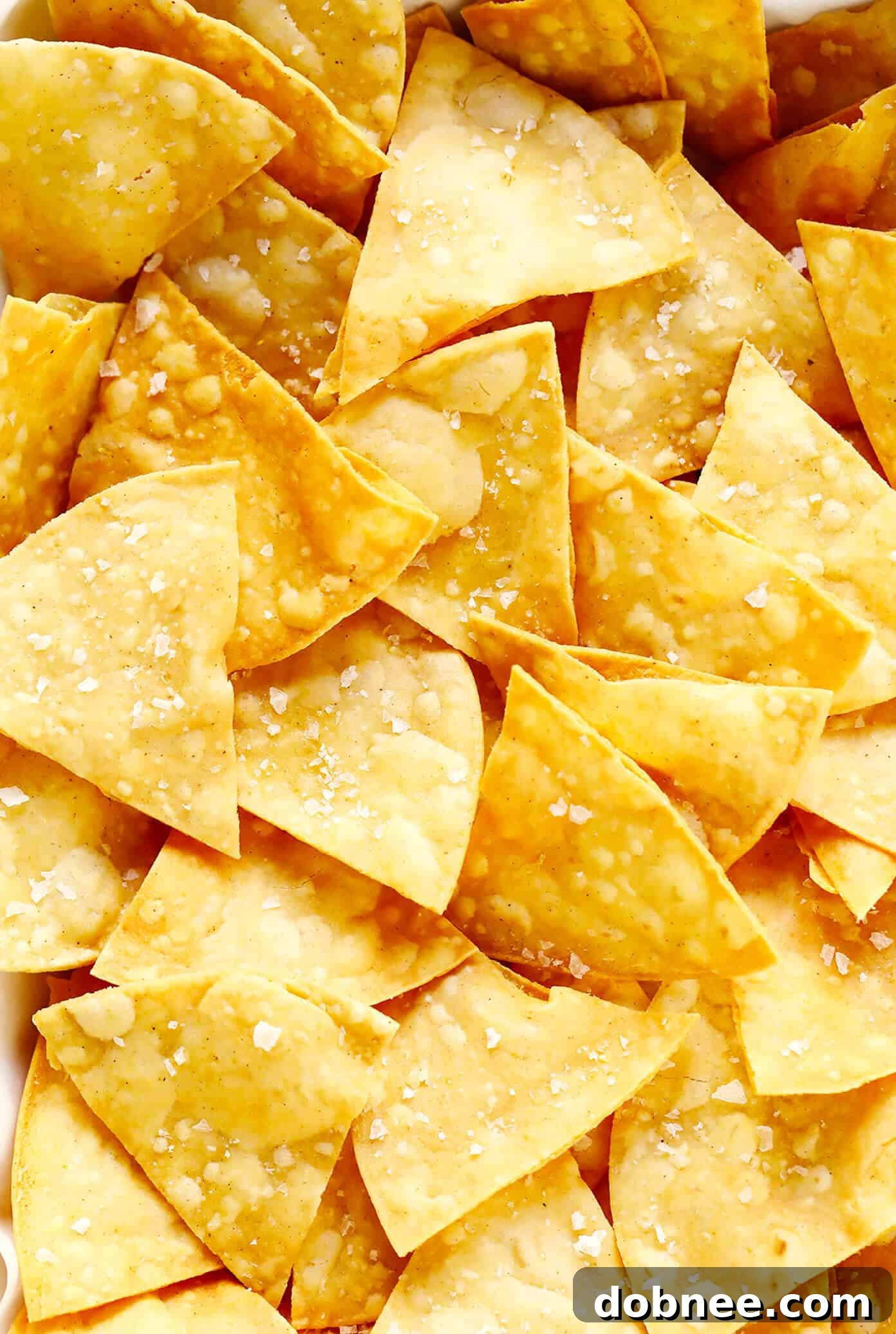 Golden homemade tortilla chips stacked with a fresh salsa bowl.