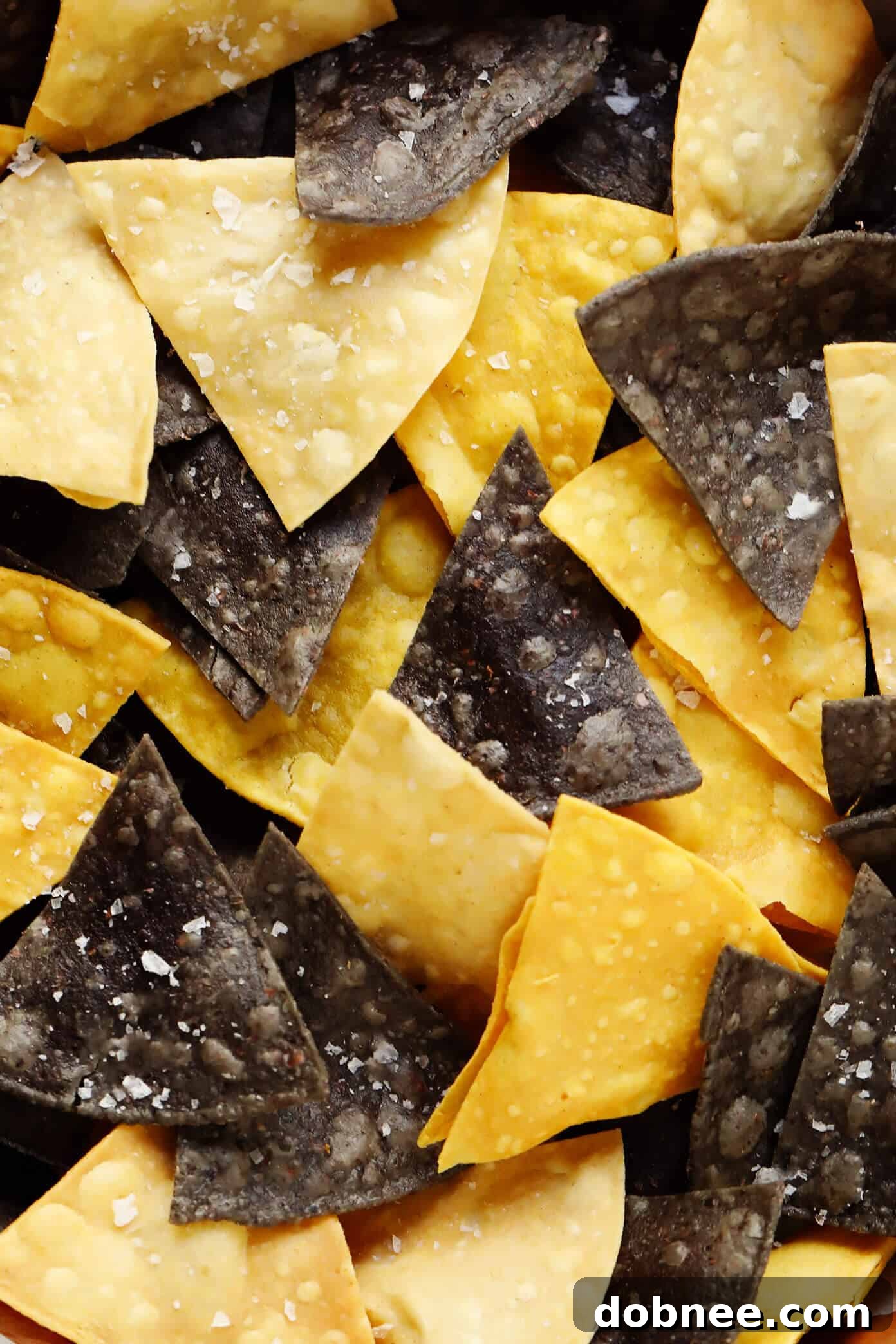 A vibrant assortment of tri-color corn tortilla chips arranged artfully.