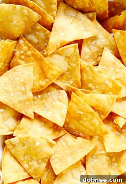 Homemade Tortilla Chips