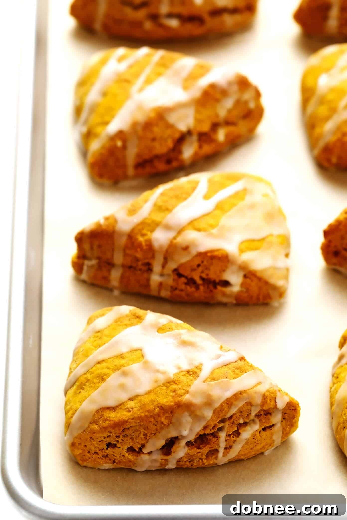 Delicious Pumpkin Scones with Vanilla Glaze