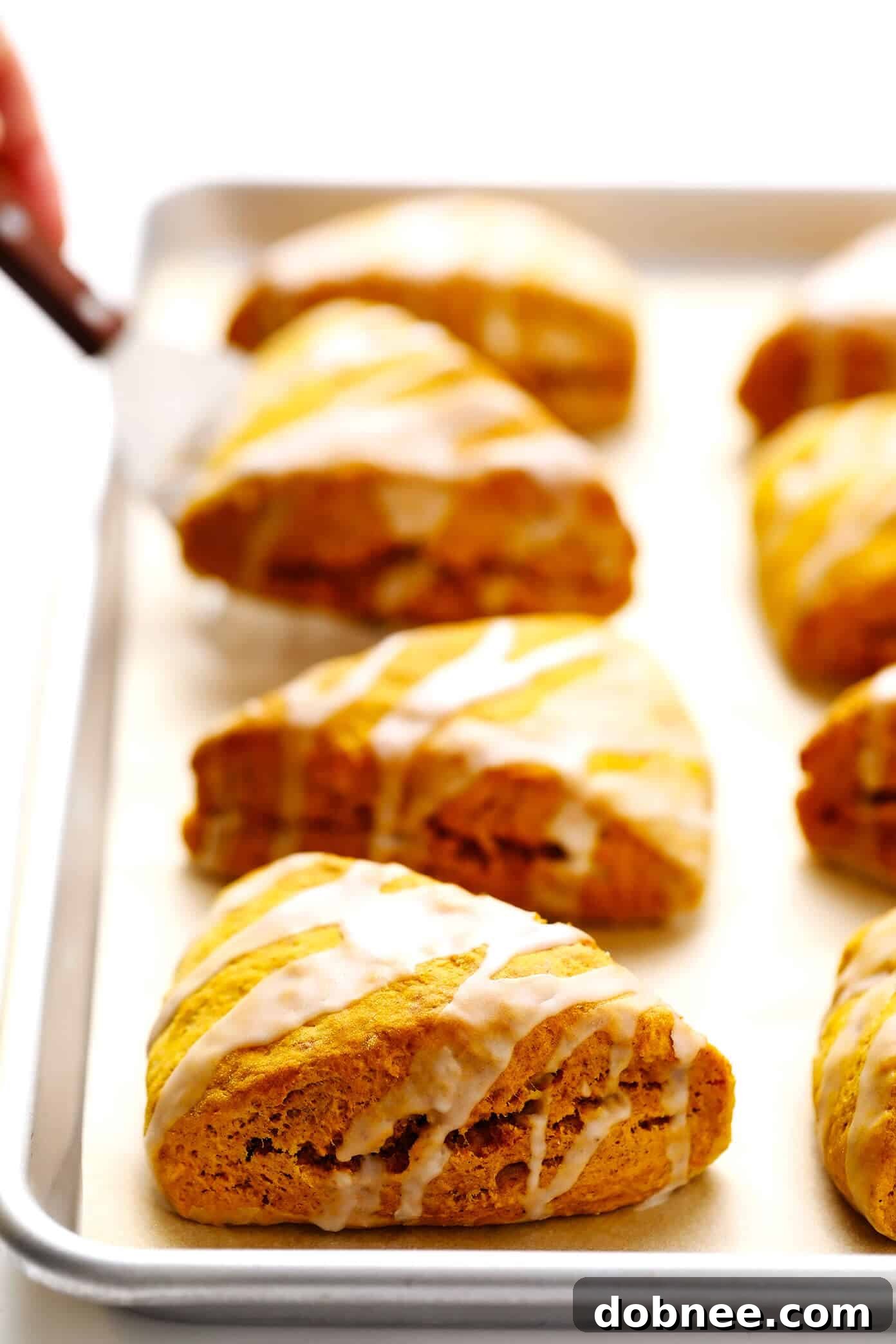 Closeup of Pumpkin Scones with Vanilla Glaze on a cooling rack