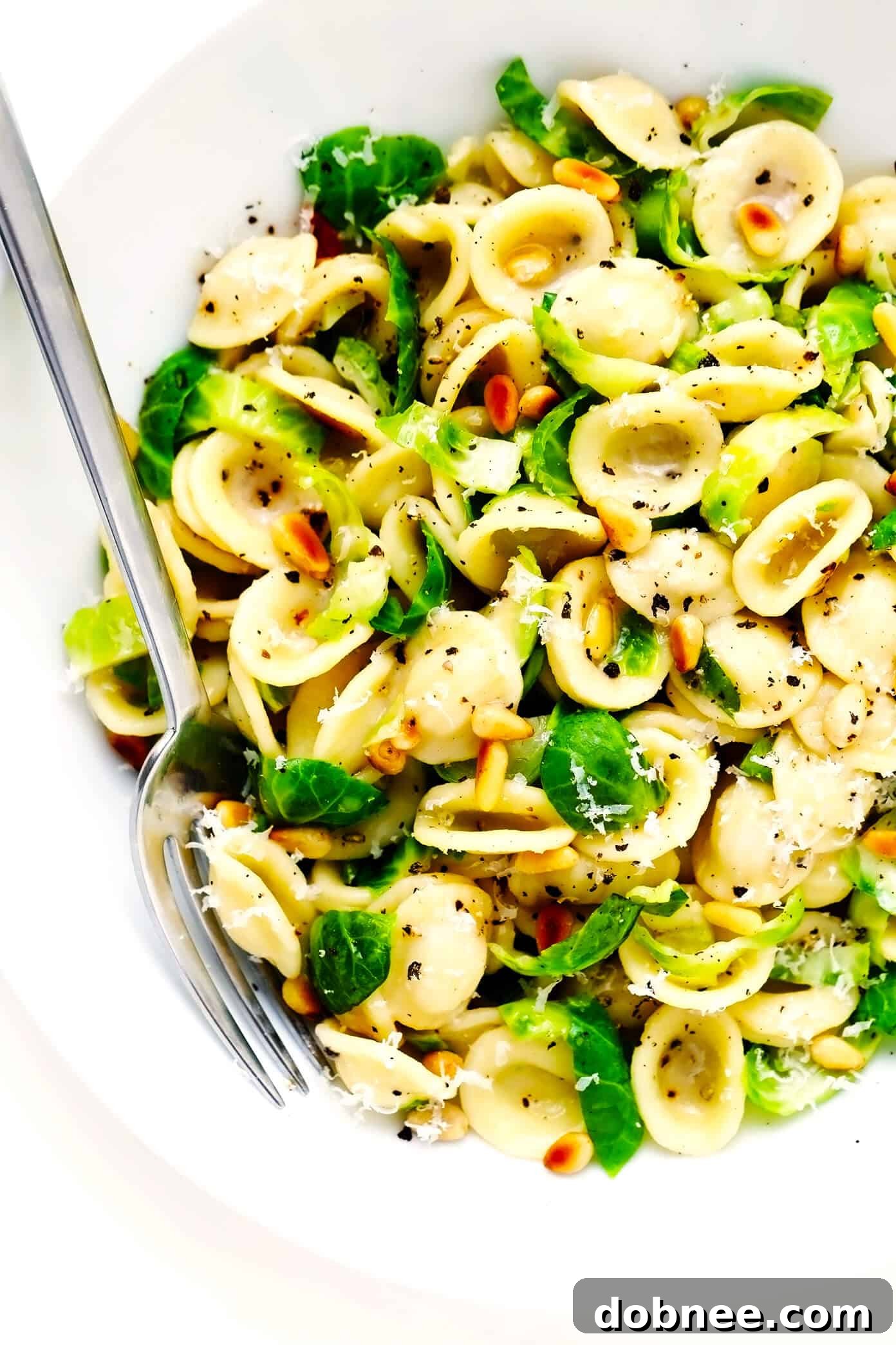 Delicious Brussels Sprouts Parmesan Pasta with Toasted Pine Nuts