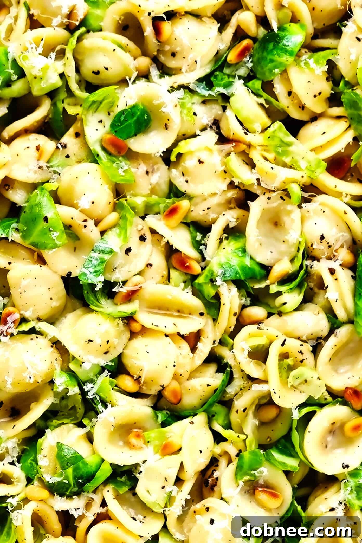 Closeup of Brussels Sprouts Pasta with Pine Nuts in a Bowl