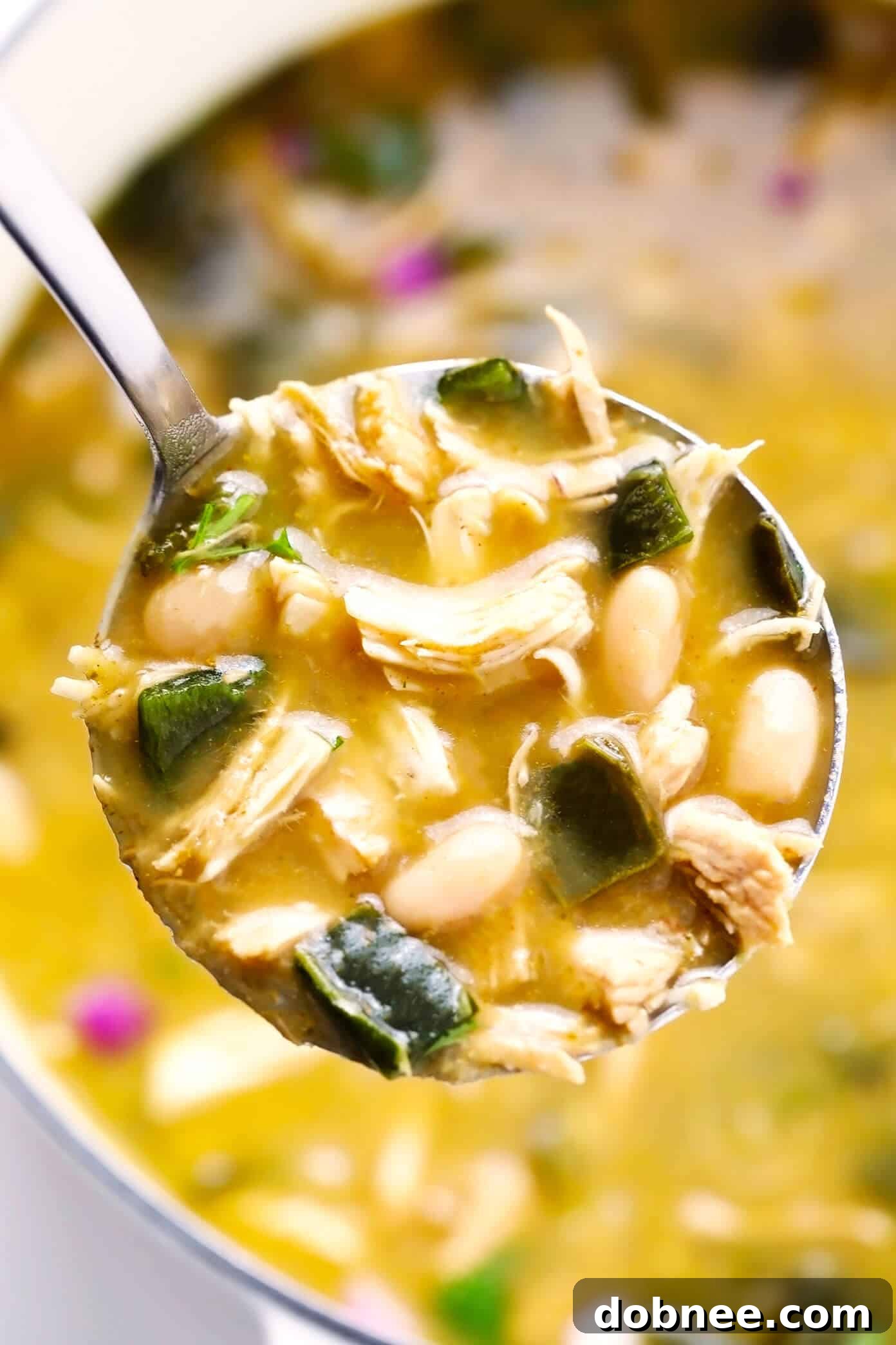 Ladle of Poblano White Chicken Chili showcasing its creamy texture