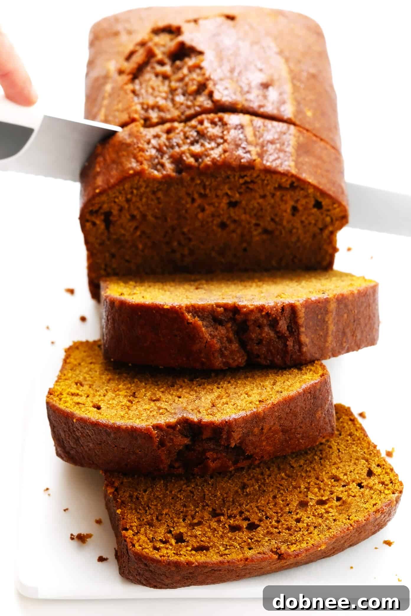 Moist Pumpkin Bread Slices