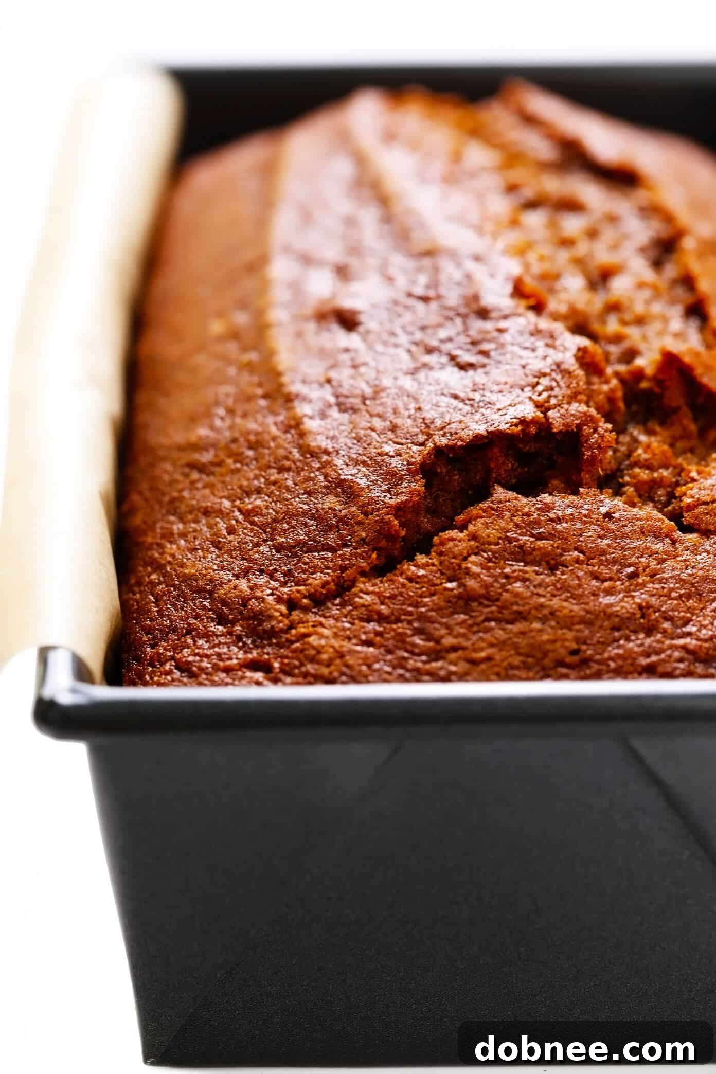 Pumpkin Bread in Pan