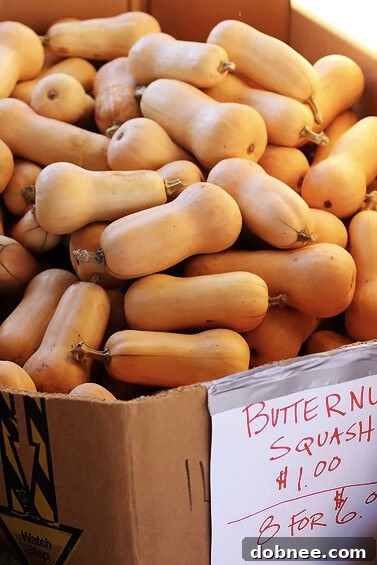 A selection of hearty butternut squash, perfect for autumn recipes