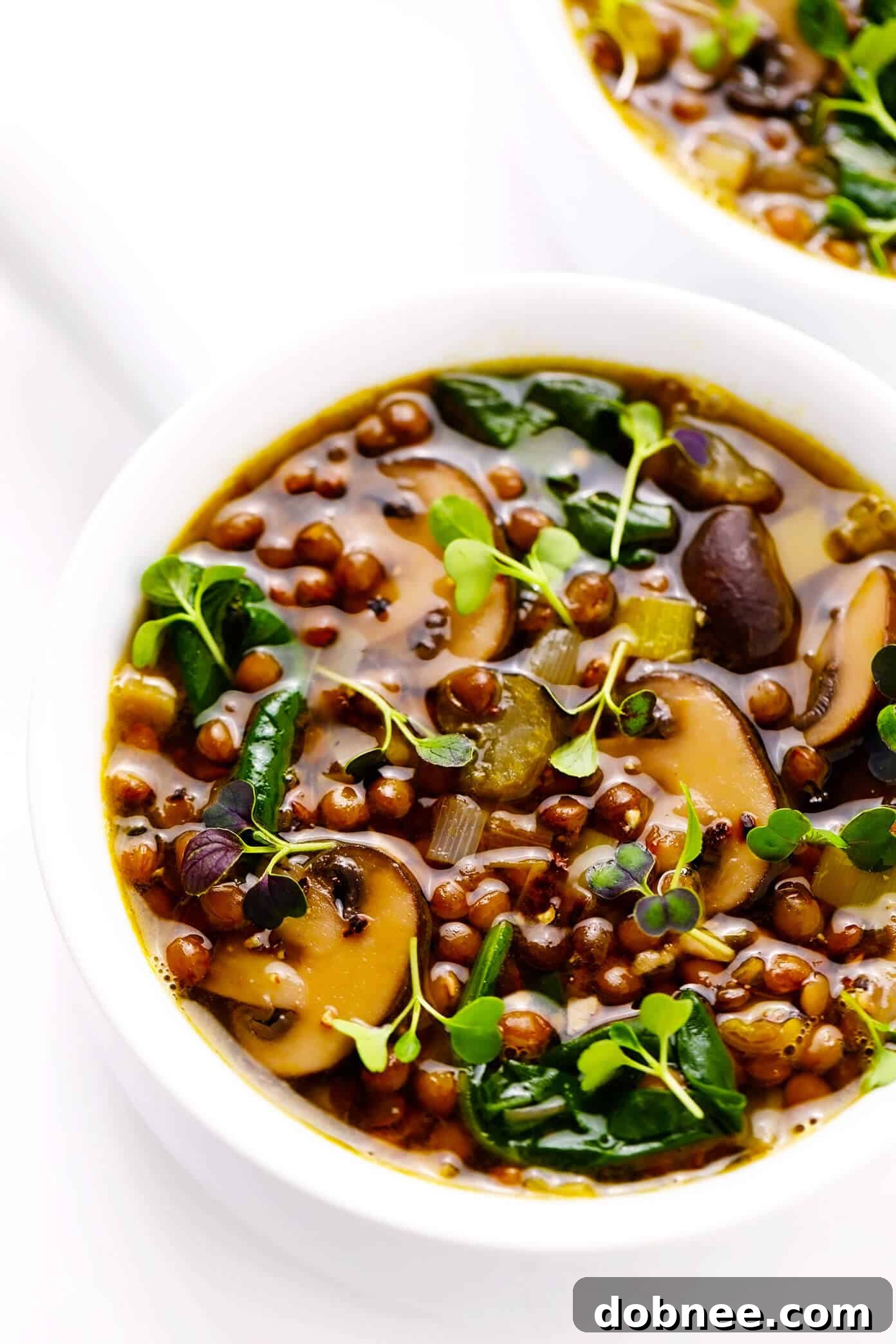 Delicious French Lentil and Mushroom Soup in a bowl, garnished with fresh herbs.