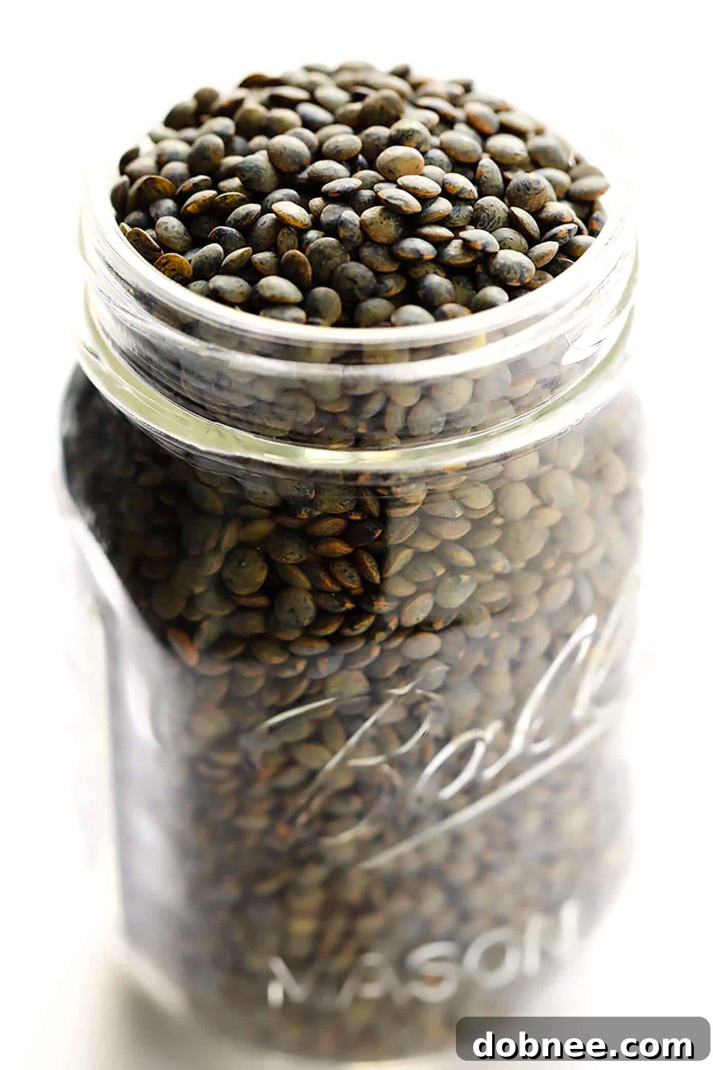 Close-up of French Lentils (Lentils de Puy), showing their distinct marbled appearance.
