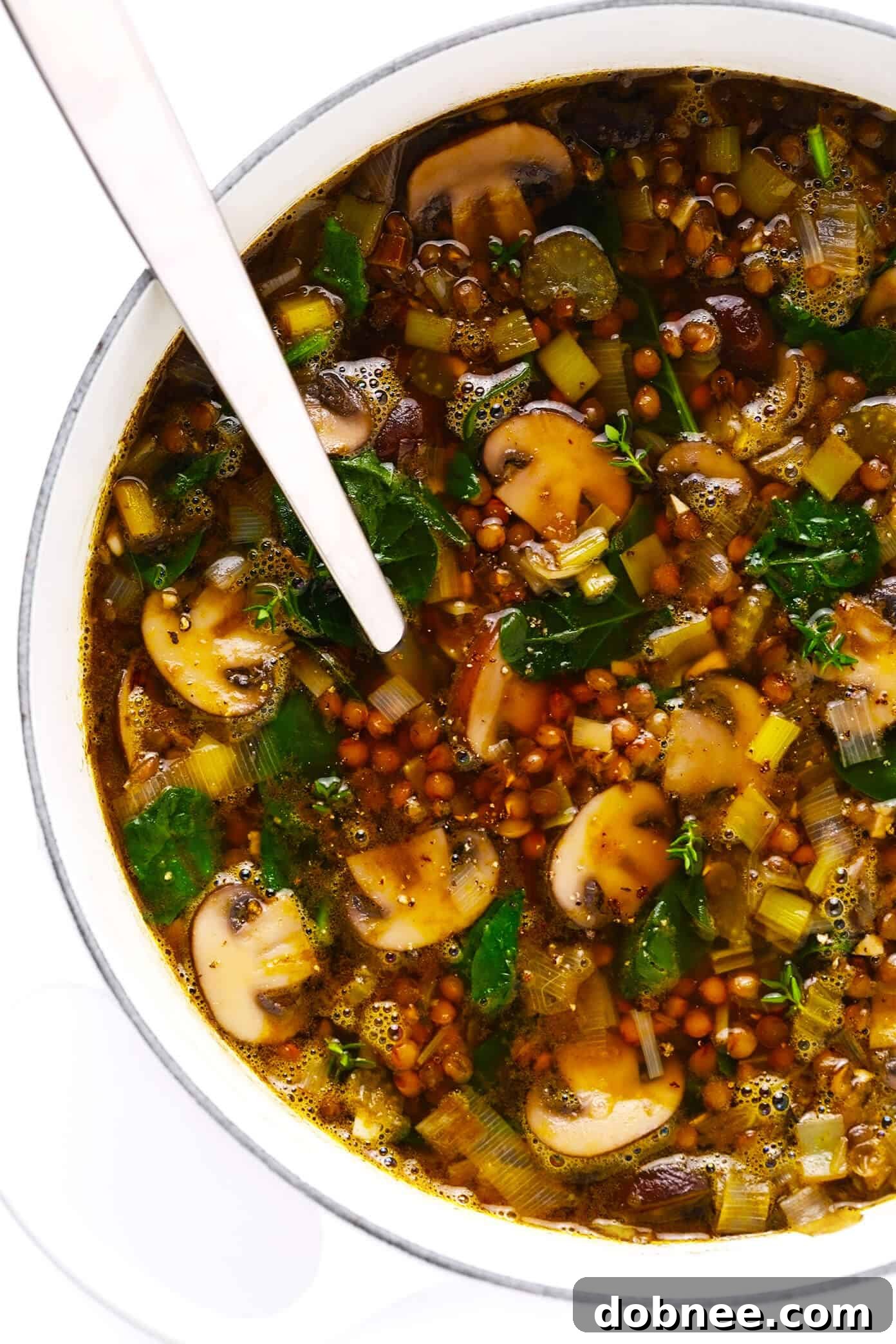 French Lentil and Mushroom Soup simmering in a rustic Dutch oven.