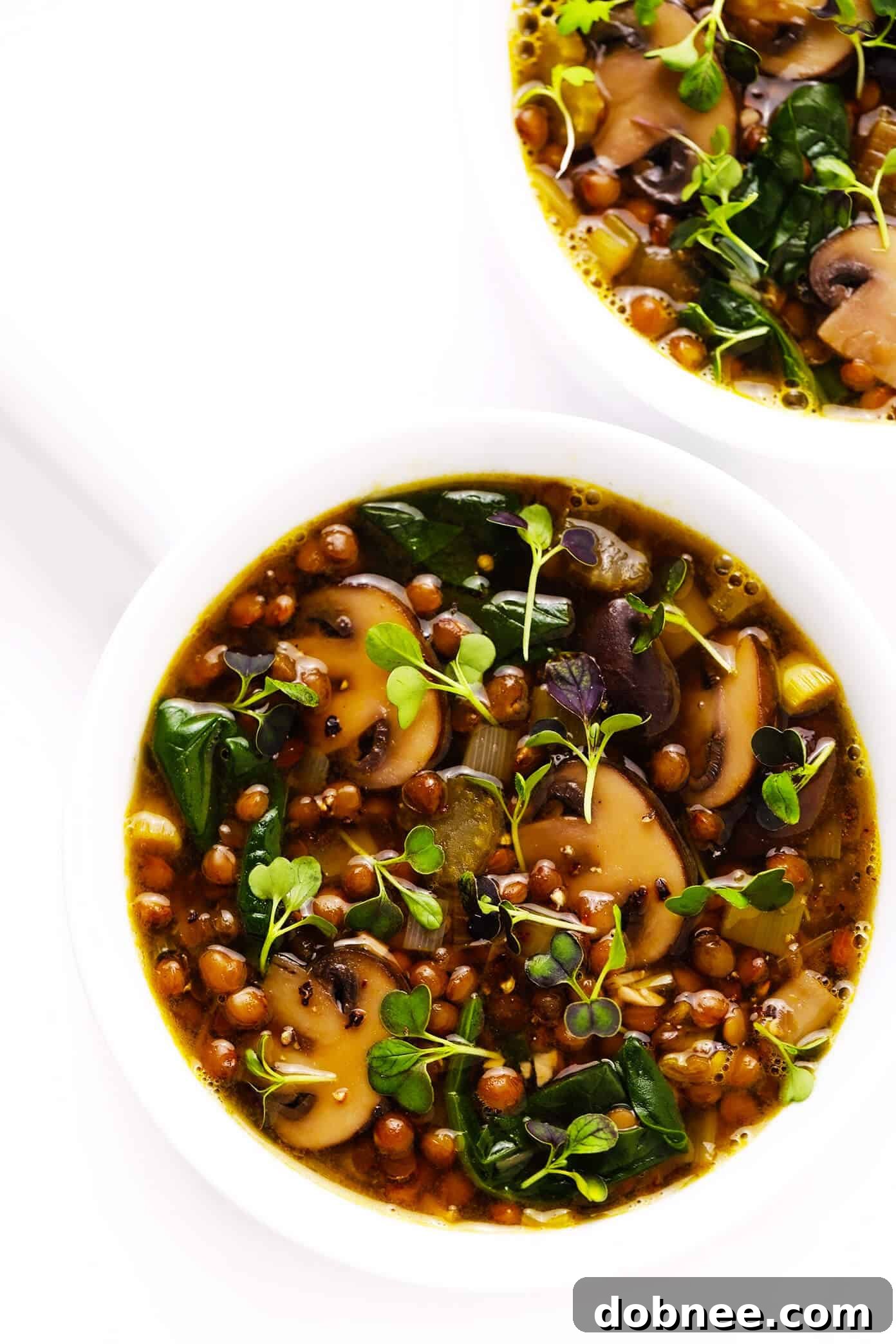 Multiple bowls of French Lentil and Mushroom Soup, ready to be served.