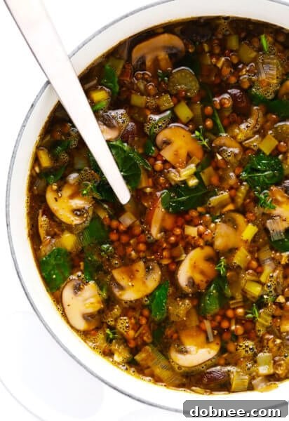 French Lentil and Mushroom Soup in Dutch Oven, featured for the recipe card.