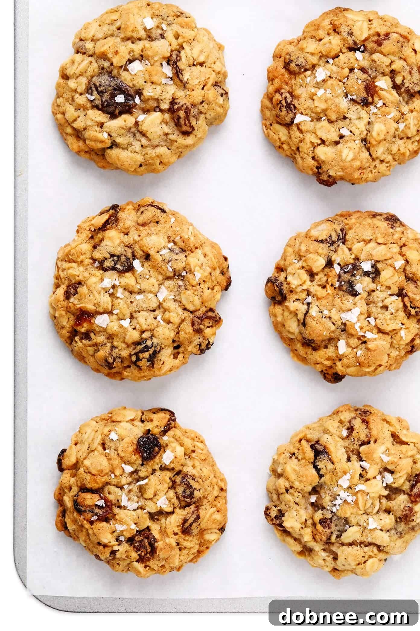 Closeup of freshly baked oatmeal raisin cookies garnished with flaky sea salt.