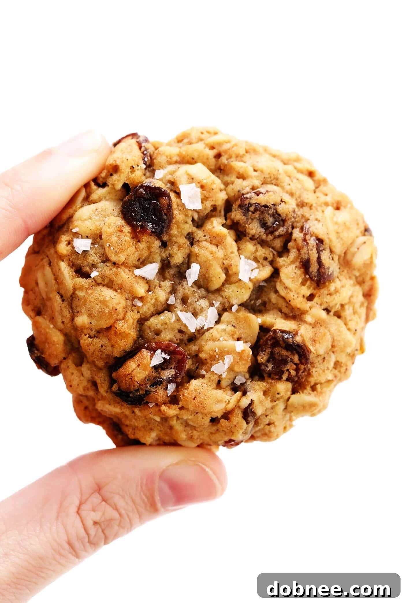 Close-up of a single oatmeal raisin cookie, showing the textured surface, visible oats, and plump raisins.