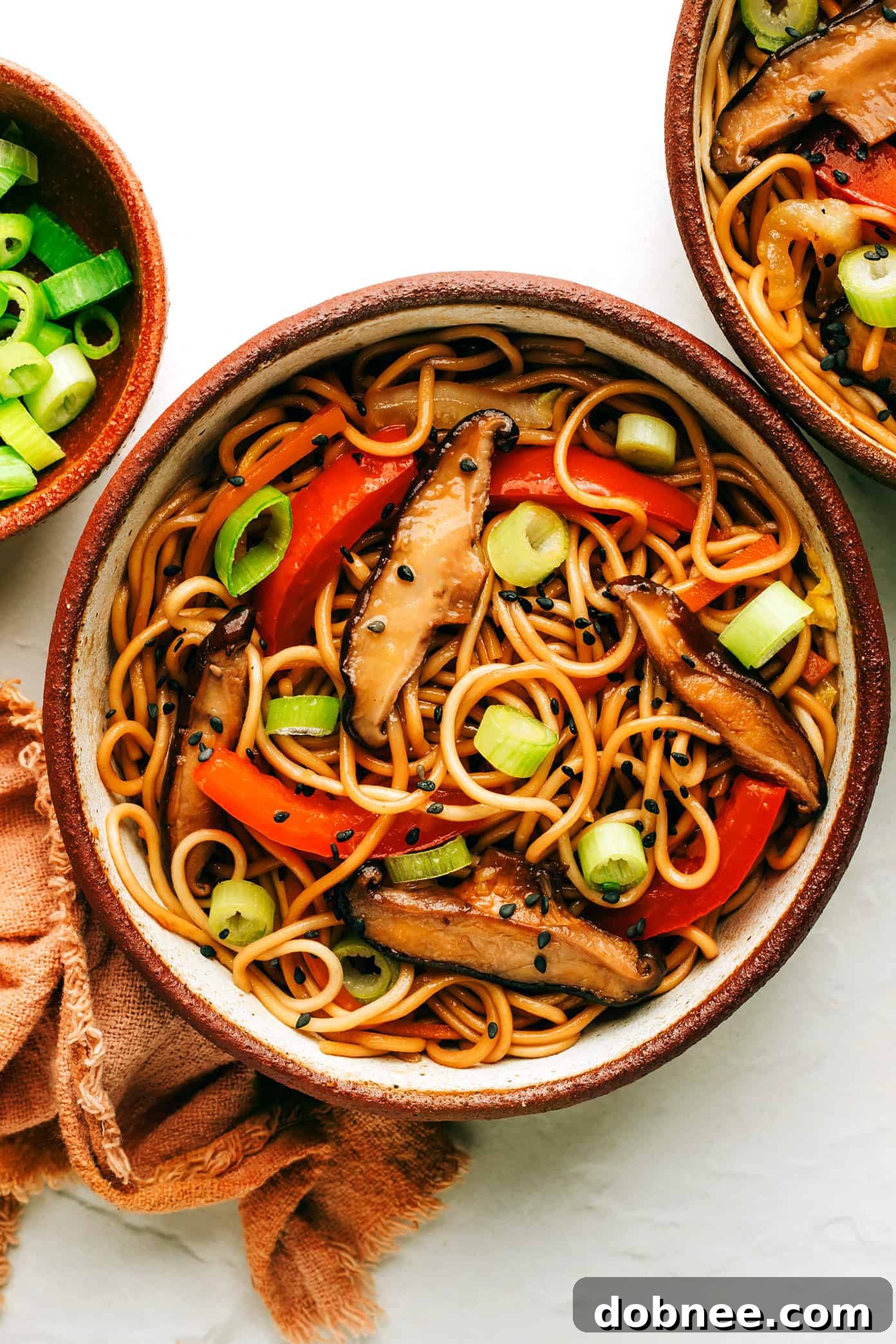 Chow Mein, stir-fried noodles with fresh vegetables, ready to serve