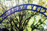 My Favorite Farmers Market Revisited