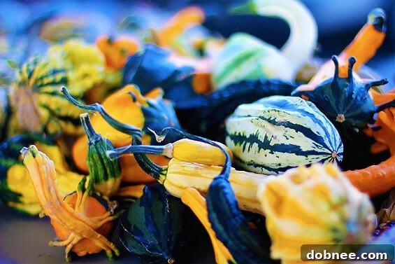 Welcoming Autumn: The Charm of Seasonal Gourds A display of decorative gourds in various shapes, sizes, and colors, signaling the arrival of autumn at a market stall.