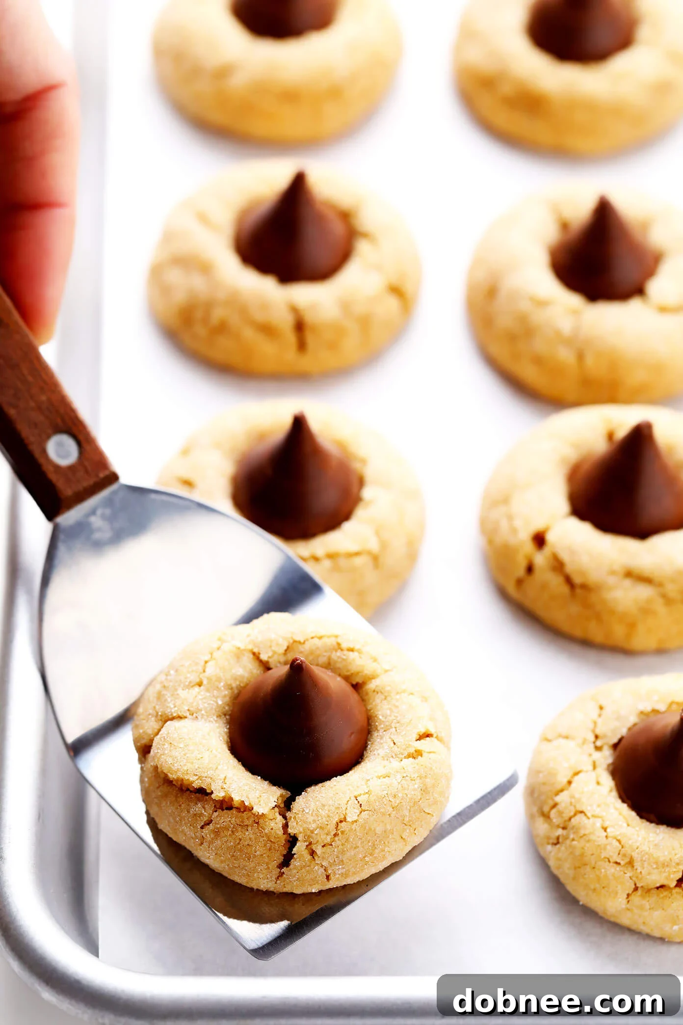Peanut Butter Blossoms (Hershey's Kiss Cookies)