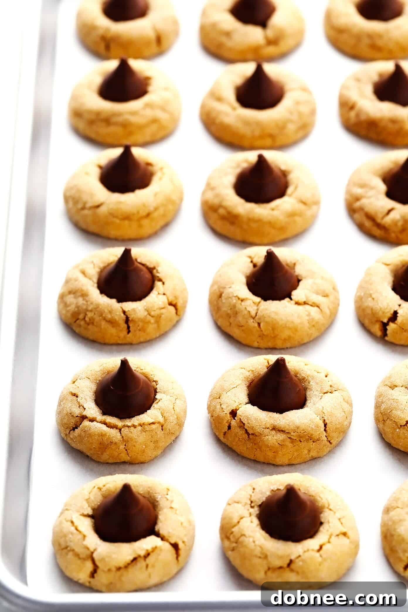 Peanut Butter Blossoms on Cookie Sheet
