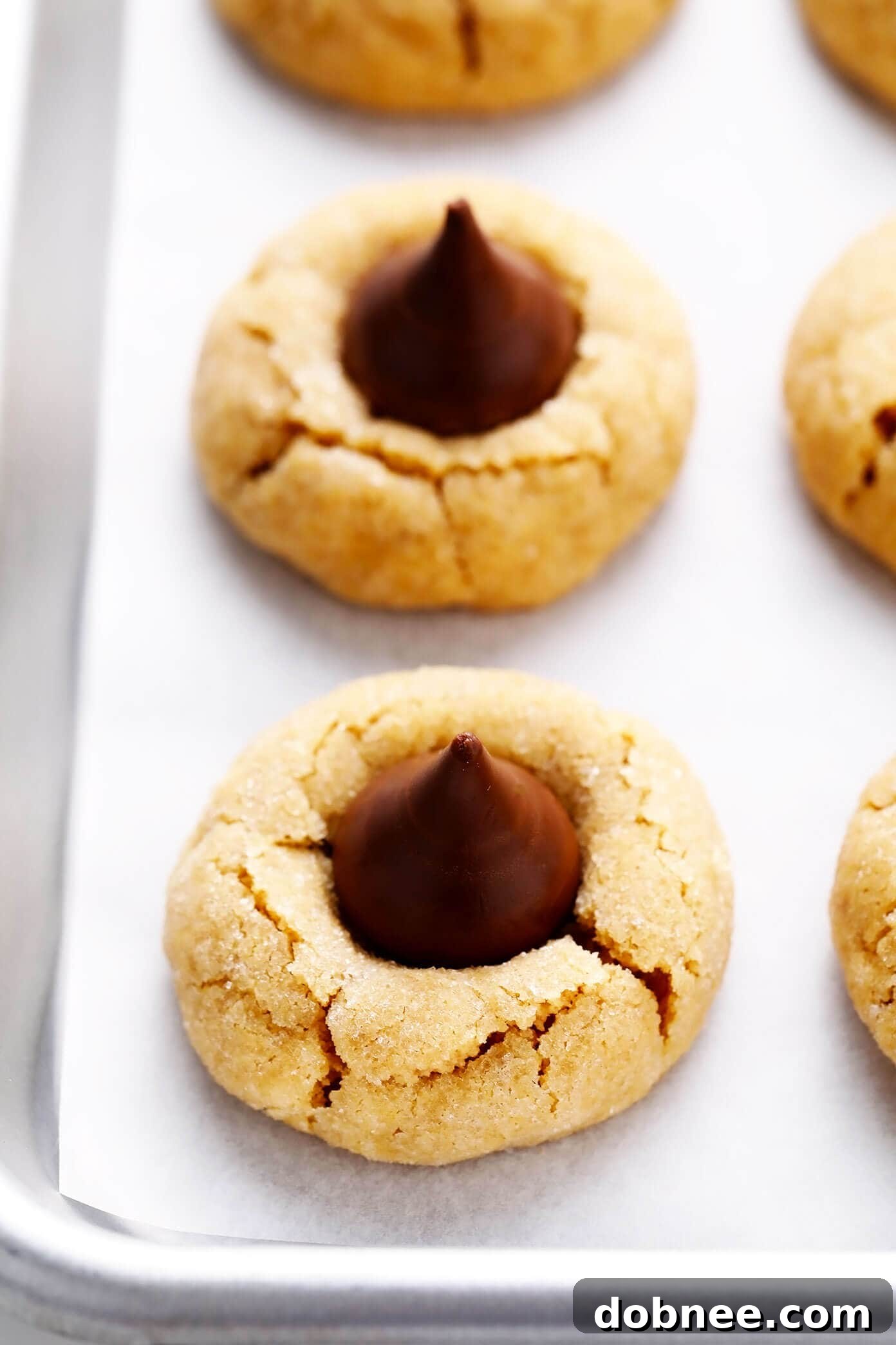 Peanut Butter Blossoms Close-Up