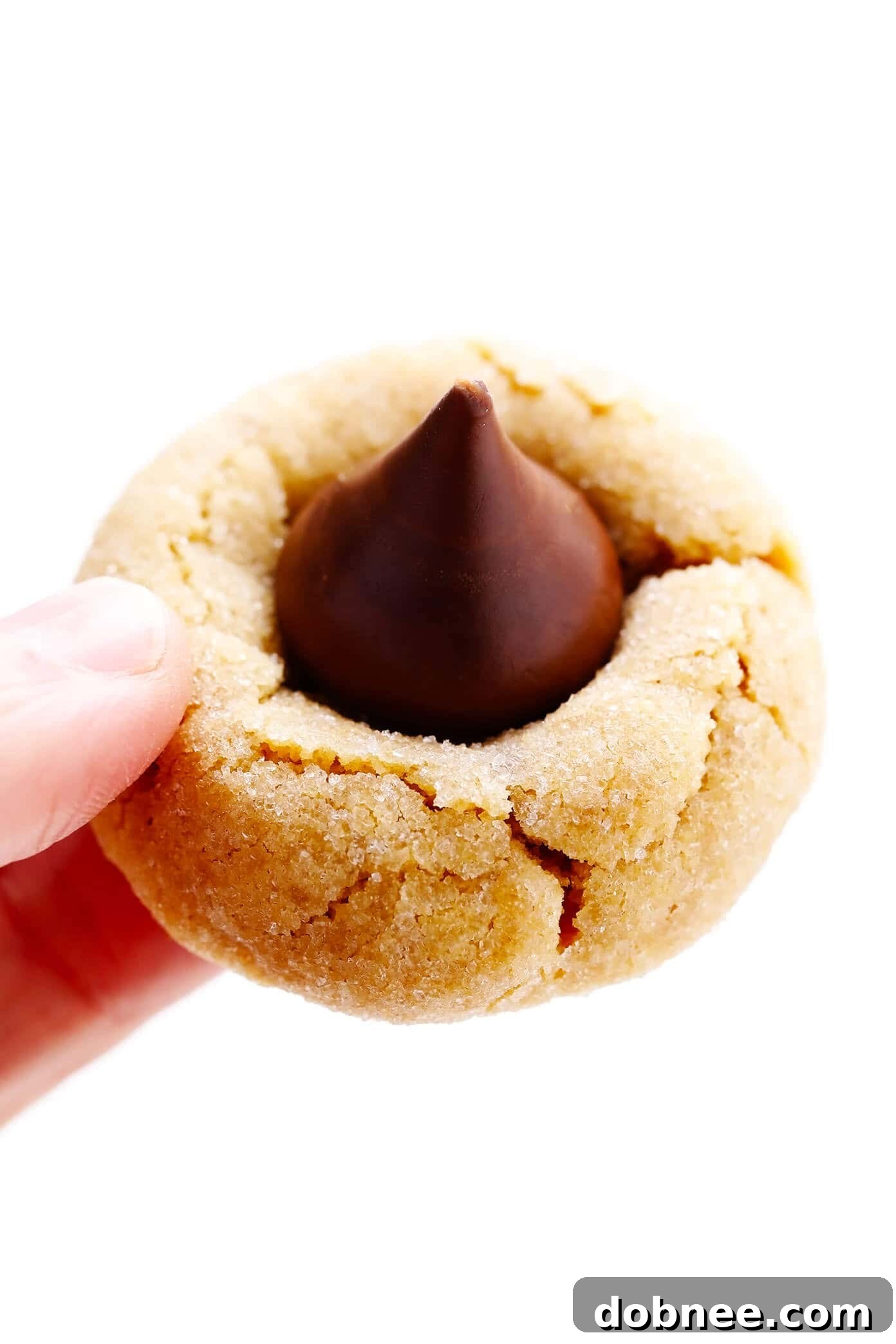 Peanut Butter Blossom Cookie Close-Up