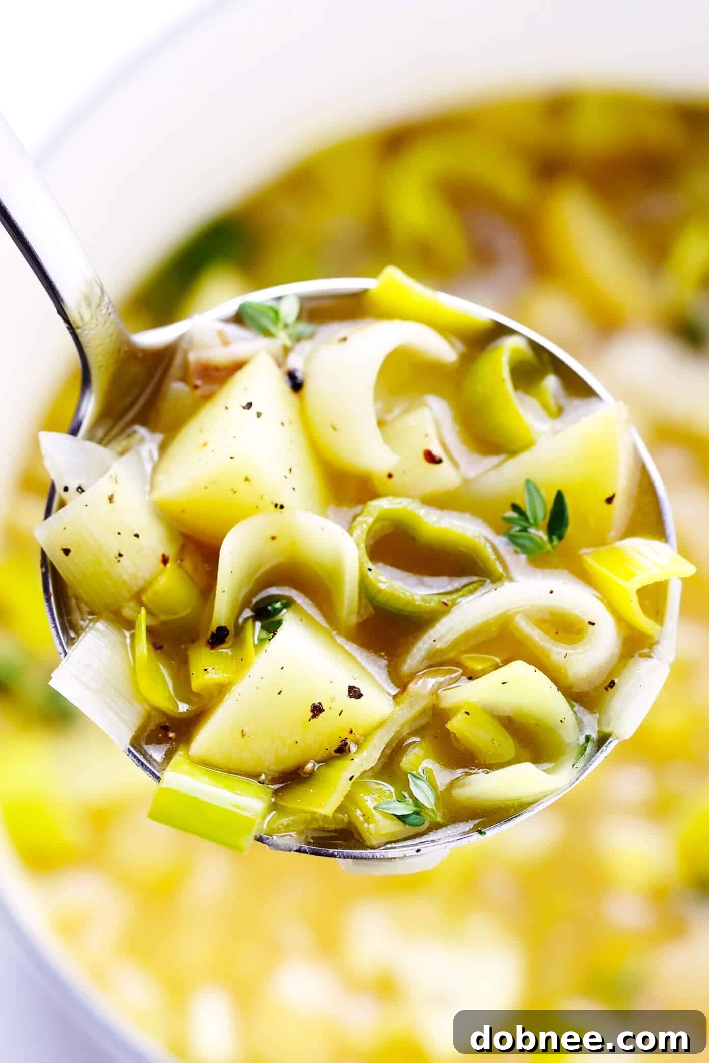 A ladle full of chunky rustic potato leek soup being served from a pot