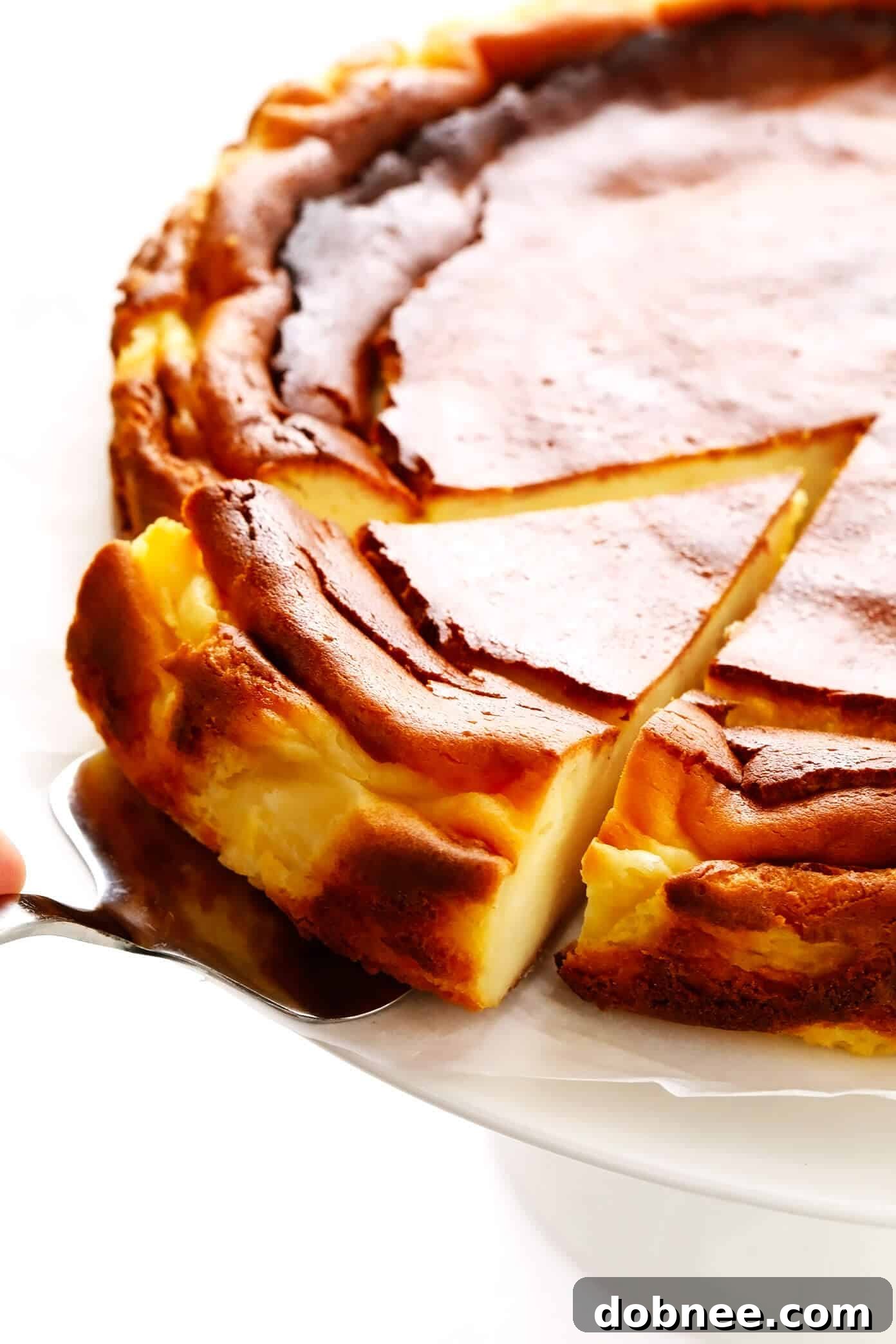 "Burnt" Basque Cheesecake (Tarta de Queso)