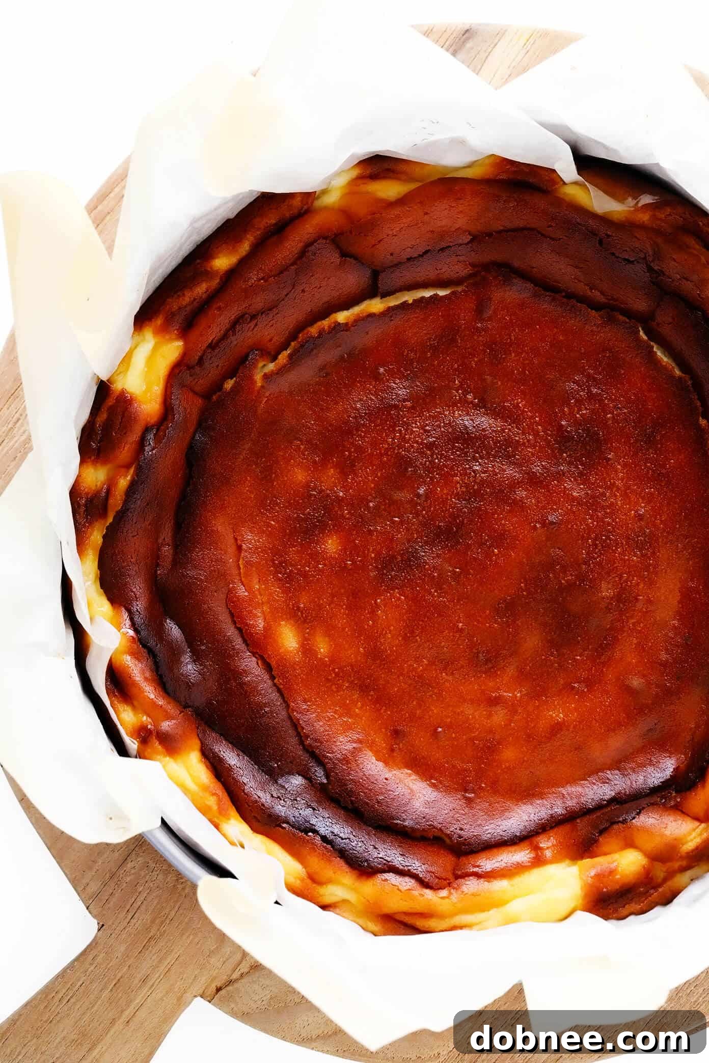 Basque Cheesecake Recipe in Springform Pan