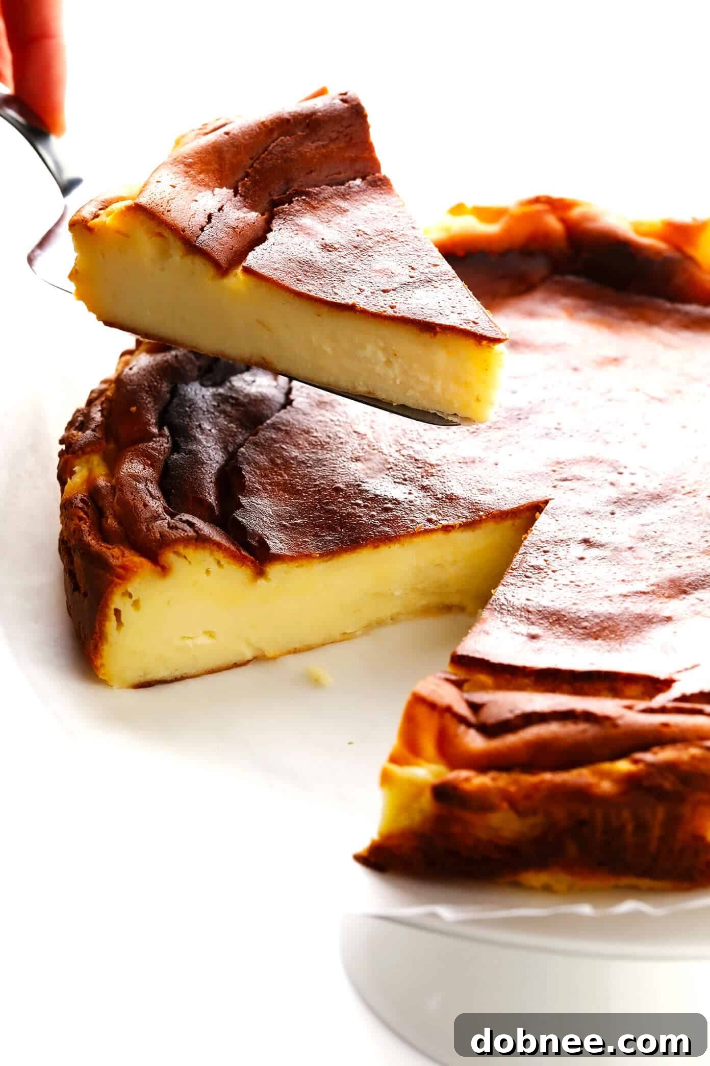 Serving slices of Basque Cheesecake (Tarta de Queso La Viña)