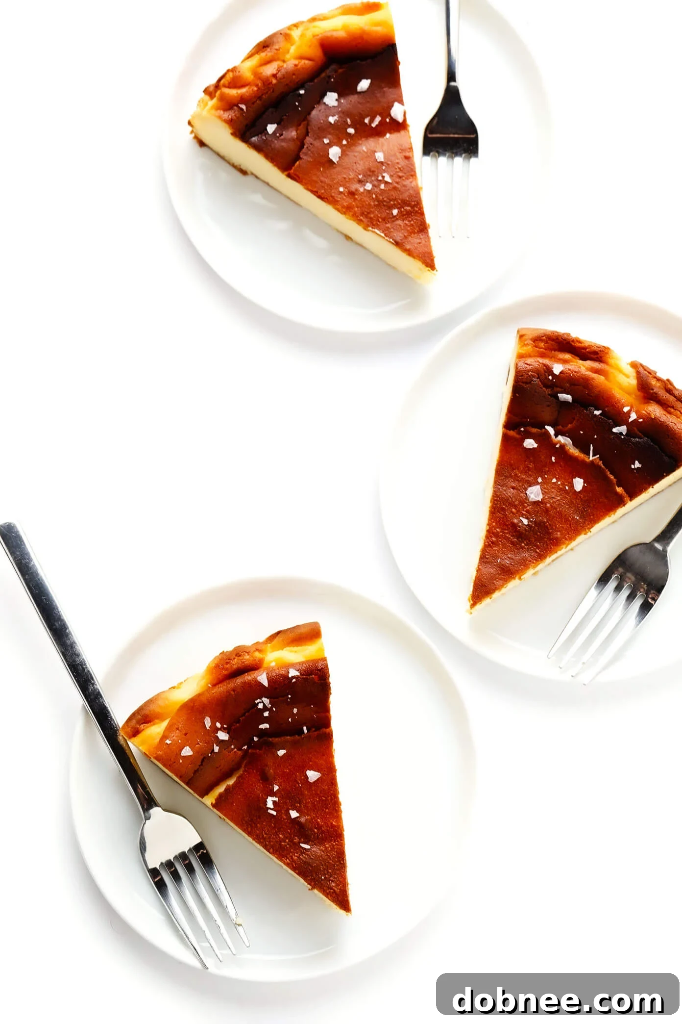 Basque Cheesecake sprinkled with flaky sea salt