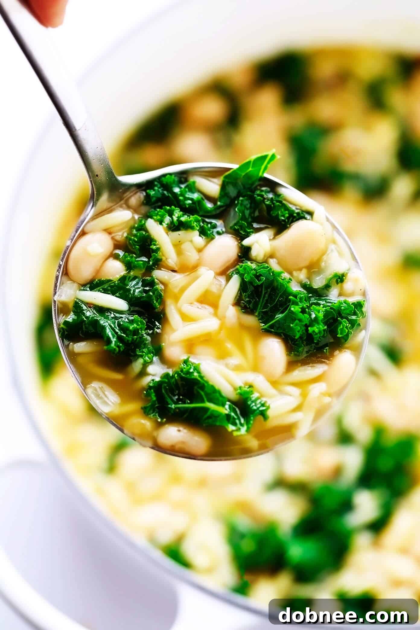 A ladle scooping a hearty portion of Kale, White Bean, and Orzo Soup from a pot, showcasing the rich broth and ingredients.