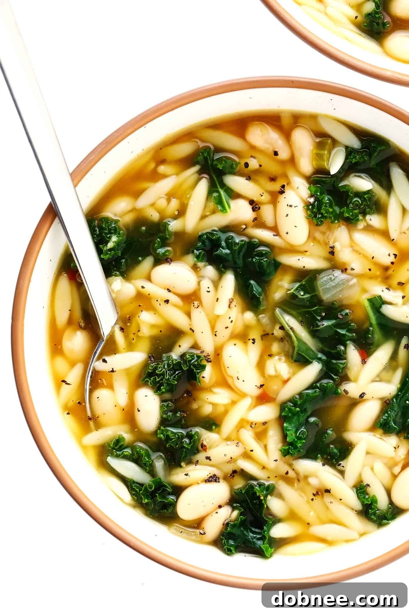 Two bowls of steaming Kale, White Bean, and Orzo Soup garnished with Parmesan, ready to be enjoyed.
