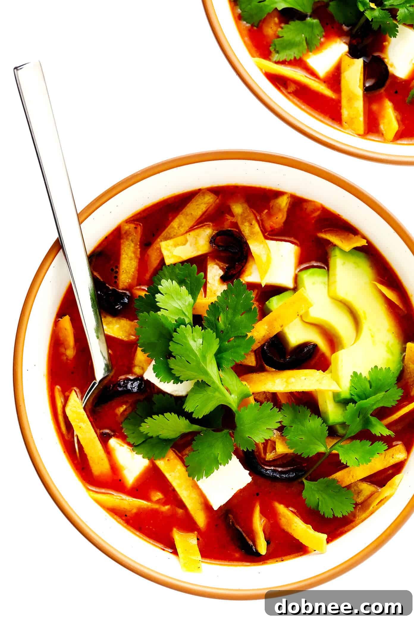 Sopa Azteca (Mexican Tortilla Soup) with Chicken and Avocado