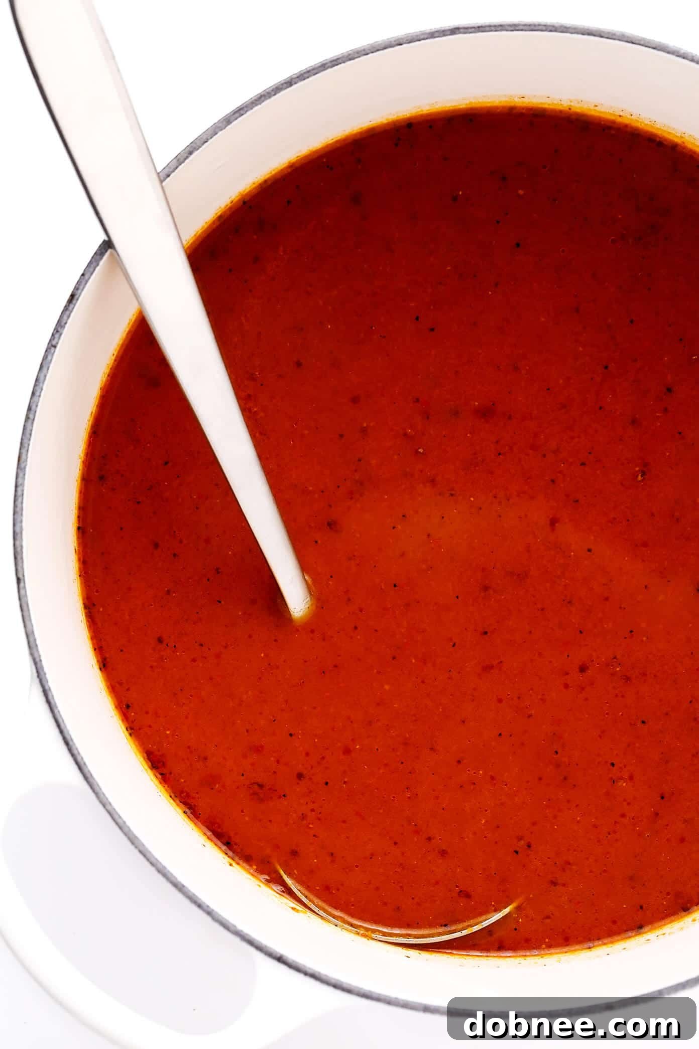 Caldo de Sopa Azteca (Tortilla Soup Broth)