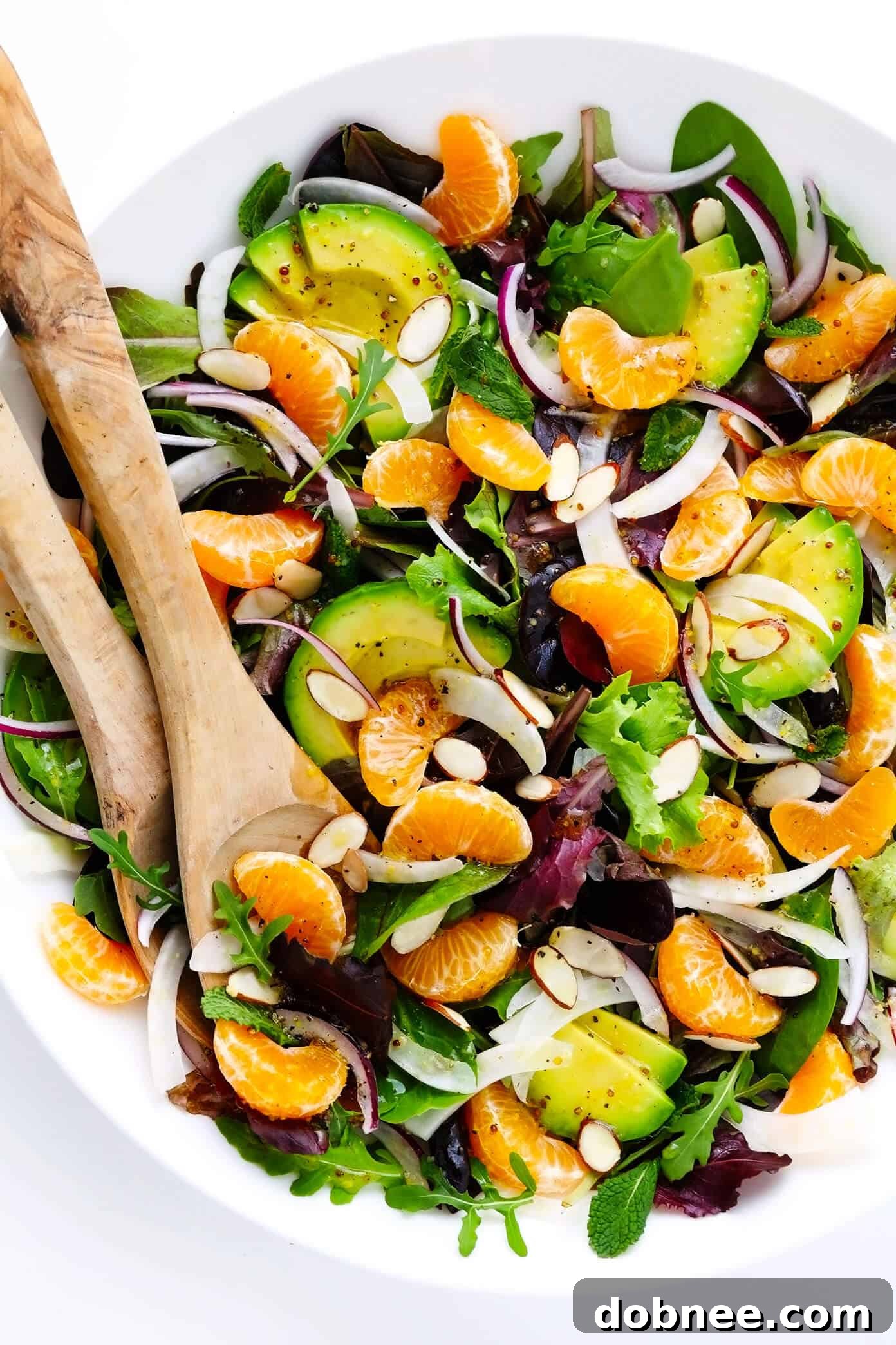 Orange, Fennel and Avocado Salad beautifully arranged in a rustic serving bowl, ready to be enjoyed.