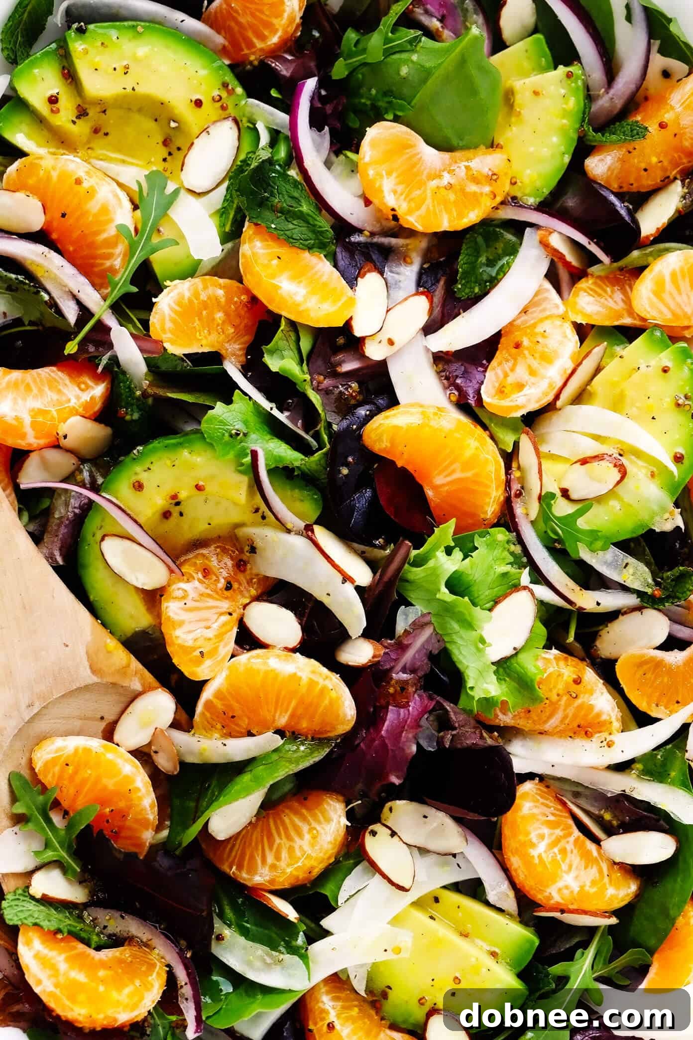 A close-up shot of the vibrant Orange, Fennel and Avocado Salad, highlighting the fresh clementine segments and mint leaves.