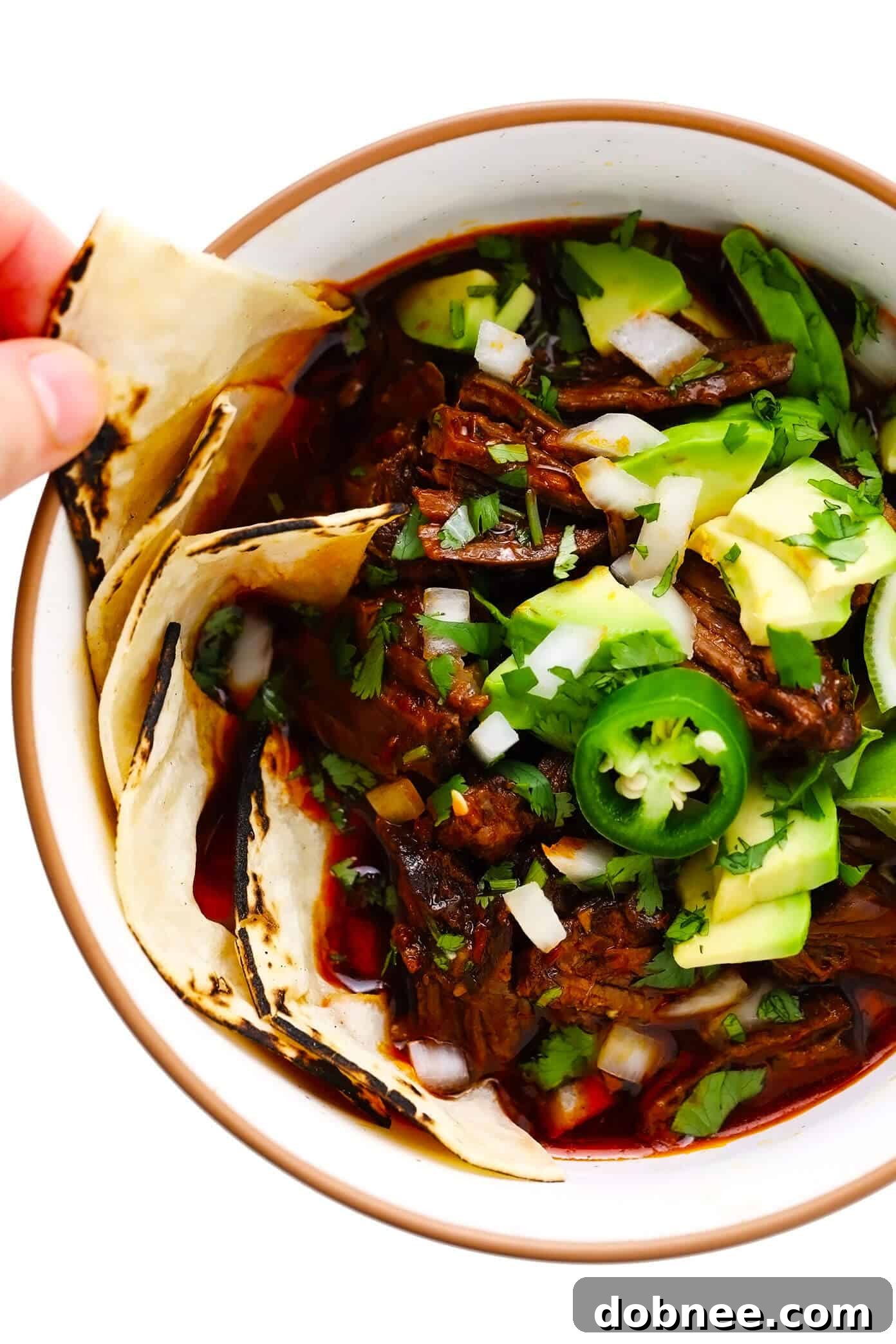Flavorful Birria (Mexican Beef Stew) Garnished with Avocado, Fresh Cilantro, and Served with Warm Corn Tortillas