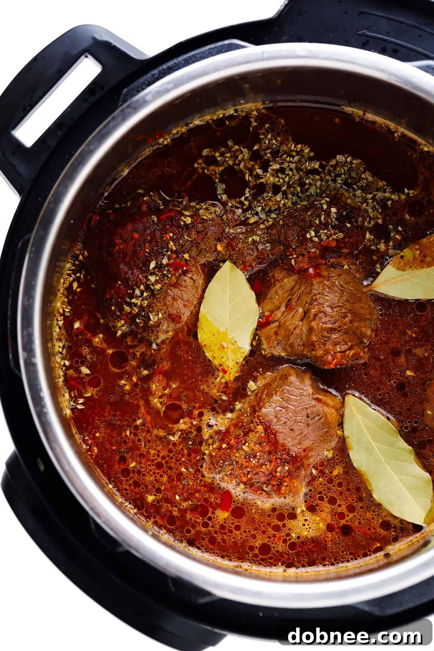 Birria de Res (Beef Stew) Cooking in an Instant Pot