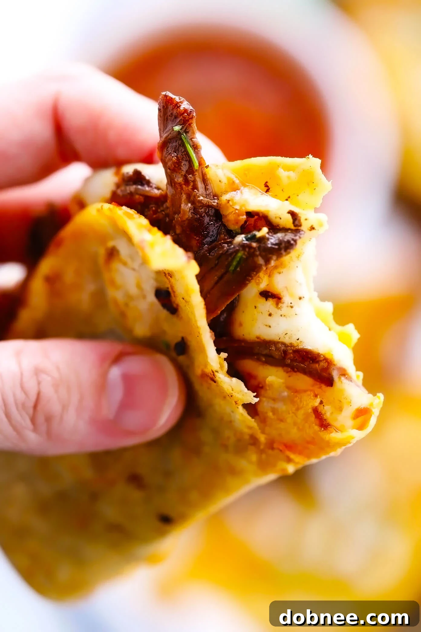 Close-up of a golden-brown Birria Taco with melted cheese, revealing the tender beef filling.