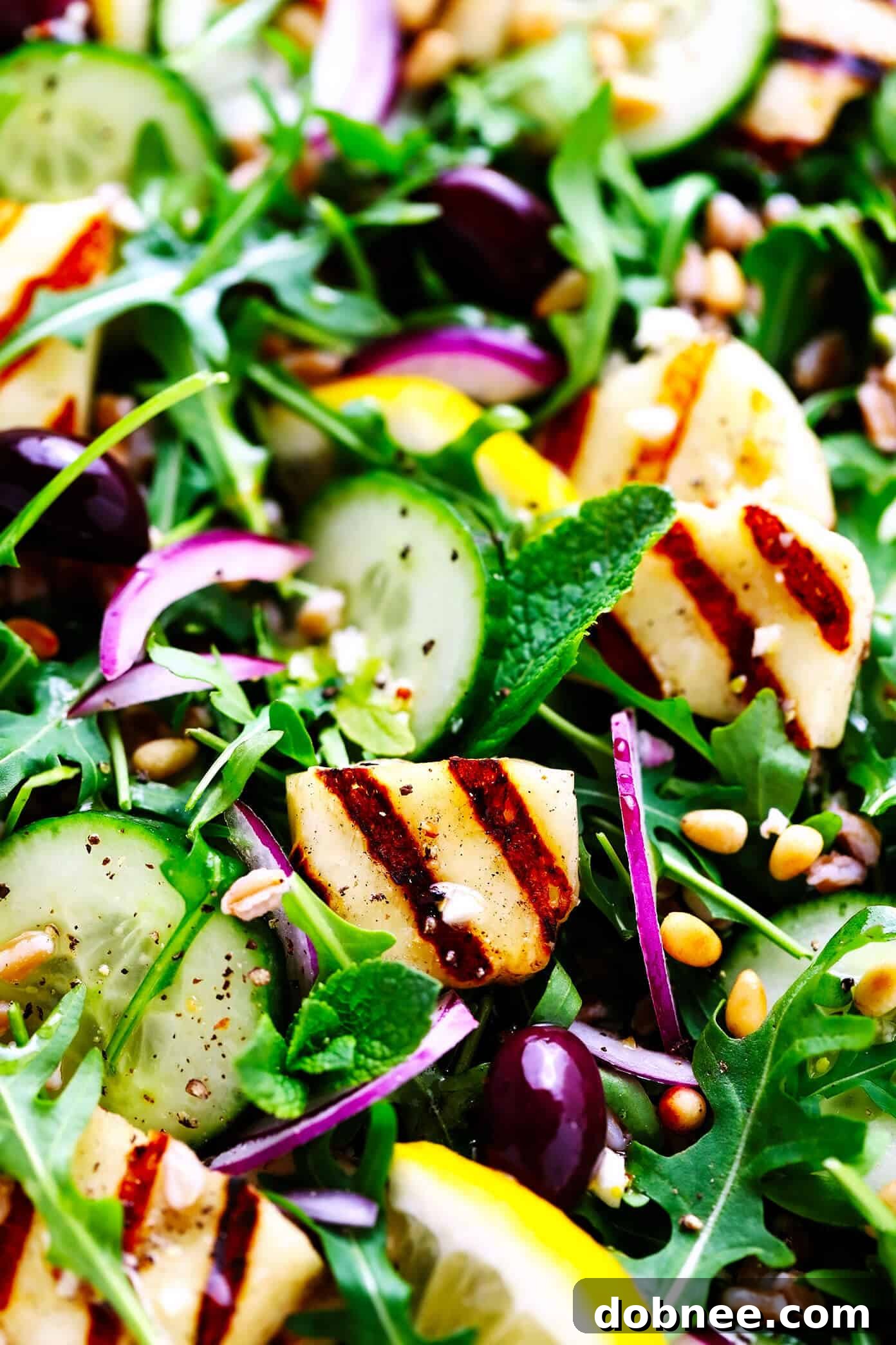 Grilled Halloumi Salad Closeup with Cucumber, Farro and Pine Nuts - Detailed view of ingredients and textures.